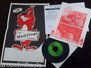 1960'S KANSAS ROCK BAND the blue things,THE RED DOGS,POSTER,lp,cd,RECORD....