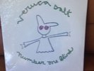 veruca salt 