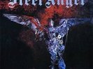 STEEL  ANGEL ...and the angels were made of steel LP