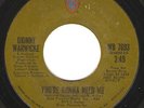 Funk Dilla Breaks Soul 45 DIONNE WARWICKE 