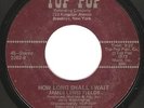Funk Soul 45 JAMES LEWIS FIELDS 