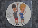 THE BEAVIS AND BUTT-HEAD EXPERIENCE Picture LP Nirvana White Zombie RHCP