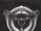 PENTACLE - rides the moonstorm LP