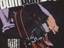 Dum Dum Boys - Flesh Trash Heat Vinyl FR LP