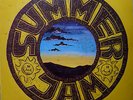 LOBBY LOYDE  COLOURED BALLS Summer Jam  1973 Australian sample  LP Billy Thorpe