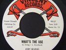 Rare IL Soul Funk 45 JOEY IRVING What's The Use on Vincent