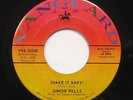 Junior Wells Shake It Baby Stomach Ache 45 Vanguard VG++ mod soul funk HEAR