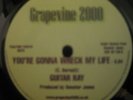 guitar Ray . your gonna wreck my life . Grapevine 2000. re-issue.