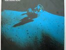 MATTHIAS REIM – VON FERNEN STERNEN /hansa 106381-100
