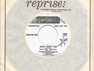 SONNY AND CHER * 45 * Baby Don't Go * 1965 * White Label *DJ PROMO * Near MINT 