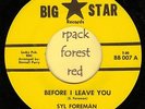 SYL FOREMAN - Before I Leave You - BIG STAR  7