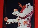 Elvis 