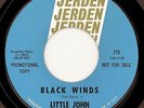 LITTLE JOHN and THE MONKS- 