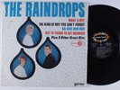 RAINDROPS Self Titled JUBILEE LP VG++ IN SHRINK