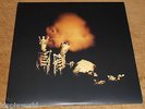 PEARL JAM 2002 RIOT ACT RARE DOUBLE 12