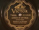 Dixieland Jug Blowers, Victor 21126, E+