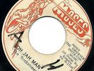 THE ROCKSTONES - OH JAH MAN - TERRIBLE ROOTS LISTEN