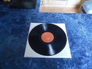 Mark Lanegan I'll Take Care Of You Vinyl LP