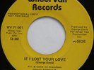 Rare Sweet Soul 45 - Johnny Andrews & Enjoyments - Disco Girl - WHEEL VAN mp3