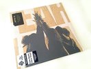 Pearl Jam - Ten 2x LP Coke Bottle Clear Vinyl - Record Store Day Newbury Comics