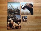 Interpol - Our Love to Admire LP - gatefold vinyl Capitol US w/ CD