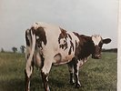 Pink Floyd 1st Pressings Atomic Heart Mother, Wish You Were Here