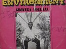 Gboyega Adelaja Colourful Environment MEGA SUPER RARE AFRO FUNK DISCO BOOGIE LP
