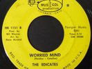 Rare Ohio Garage 45 THE EDICATES Worried Mind / She's Gone on Mus-I-Col