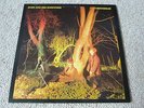 Echo and The Bunnymen LP - 