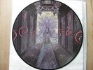 Rar Hypocrisy penetralia Picture Vinyl 12