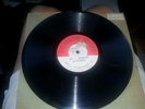 KALAMAZOO DUPLEX PHONOGRAPH RECORD-#1556-Dan Quinn-My Irish Molly-V+