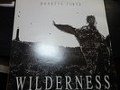 DONETTE FORTE – WILDERNESS – RARE JAH WORKS LP 1991 - JAH SHAKA KILLER