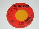 THE NOVELLS go now KILLER MOODY UNKNOWN MINNESOTA GARAGE 45 HEAR