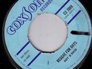 ROY & ENID/SKINHEAD REGGAE/COXSONE CS7088/1969/REGGAE FOR DAYS - HOLY MOSES
