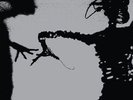 TWILIGHT SINGERS**DYNAMITE STEPS(W/FREE MP3)**2LP