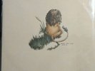 Pedro the Lion Whole Vinyl Release