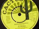 Born In Ethiopia - In Crowd - Cactus - KILLER ROOTS VG+++ REGGAE DUB