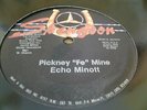 Echo Minott Pickney Fe Mine Rare Killer Digi 12