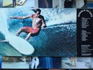 Morning of the Earth L.P Excellent Condition Rare Record Vinyl Vintage Surf
