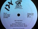 * SKYBIRST Weekend/What They're Doing MIAMI DISCO BOOGIE ELECTRIC CAT 12