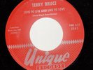 Nm Teen 45 Terry Bruce - Love To Live And Live To Love / Enchanted Fountain On