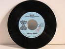 The Wild Things 45 ACID / Never Again VG++1968 Blue Onion 104 Psych Garage Rock