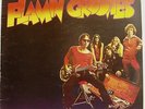 FLAMIN' GROOVIES s/t Original UK 2-LP Flamingo Teenage Head Powerpop Garage Rock