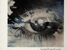 Scattered Clouds - Ivory Playground LP, Arnesen / Urabl / Stadler