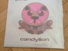 Gruff Rhys Candylion 2x LP Vinyl 2007 Team Love 13