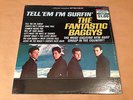 SURF ROCK LP/ THE FANTASTIC BAGGYS 