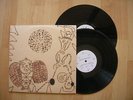 DEVENDRA BANHART rejoicing   YOUNG GOD YG 26  gate 2LP