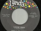 RONNIE & THE RAINBOWS - LOOSE ENDS - SLEAZY MAD MIKE TITTYSHAKER - LANDA