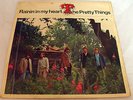 THE PRETTY THINGS RAININ' IN MY HEART 7