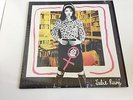 1998 Julie Ruin LP Vinyl Kathleen Hanna Bikini Kill Le Tigre KRS 297